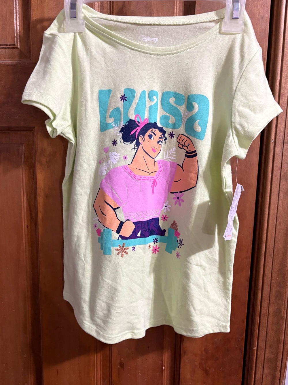 Disney Mulan Graphic Tee in Light Green with Pink & Teal Accents
